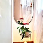 Apartamento Gli Archi Di Luisa - Centro Verona